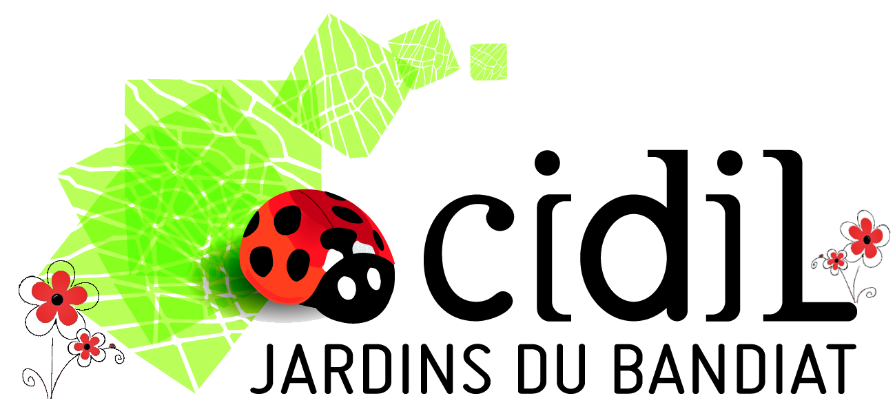 CIDIL – Carrefour Insertion Développement Initiatives Locales
